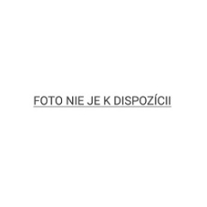 GENIUS Tripod 1/ trojnožka pro fotoaparáty a webové kamery/ 1,4"/ kovový- samostatně neprodejné