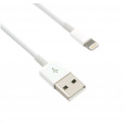 Kábel C-TECH USB 2.0 Nabíjací a synchronizačný kábel Lightning (IP5 a vyšší), 1 m, biely