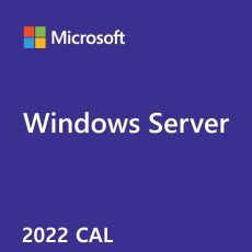 Windows Server CAL 2022 SK 5 Clt User CAL OEM