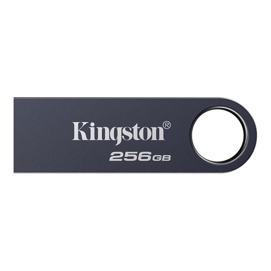 Kingston Flash Disk 256GB DataTraveler SE9 G3, USB 3.2 Gen 1, šedá