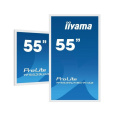 iiyama ProLite TF5539UHSC-W1AG, 139cm (55''), Projected Capacitive, 4K, white