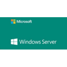 WINDOWS SERVER CAL 2019 SK 5 CLT USER CAL OEM