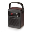 CARNEO F90 FM rádio, bluetooth reproduktor, black/wood