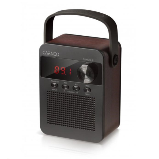 CARNEO F90 FM rádio, bluetooth reproduktor, black/wood